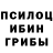 Псилоцибиновые грибы GOLDEN TEACHER Soharok Suharik