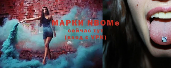 гашик Михайлов