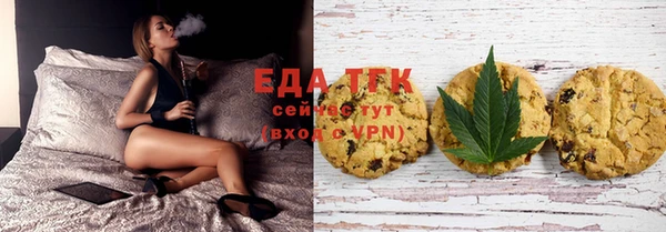 гашик Михайлов