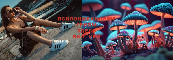 экстази Михайловка