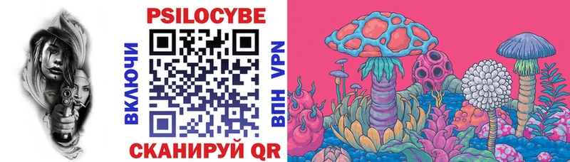 Псилоцибиновые грибы Psilocybe  Томилино 